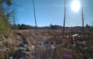 Lot 10C, Templeton Rd, Phillipston, MA